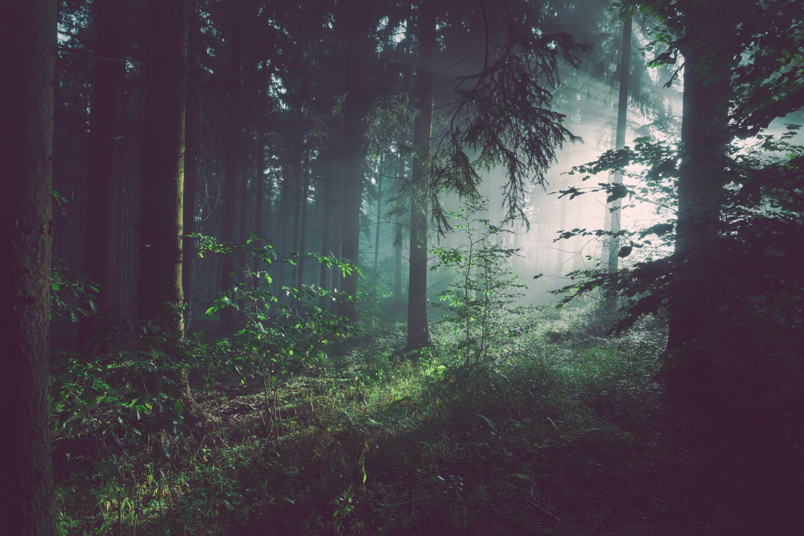 Heating Services in Martinsville, New Jersey