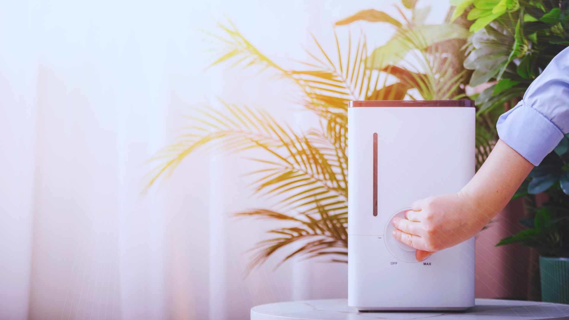 Indoor Air Quality Services in South Plainfield & Plainfield, NJ